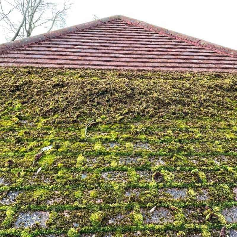 A very dirty roof covered in moss that has been half cleaned by Pristine Clean in Cheshire